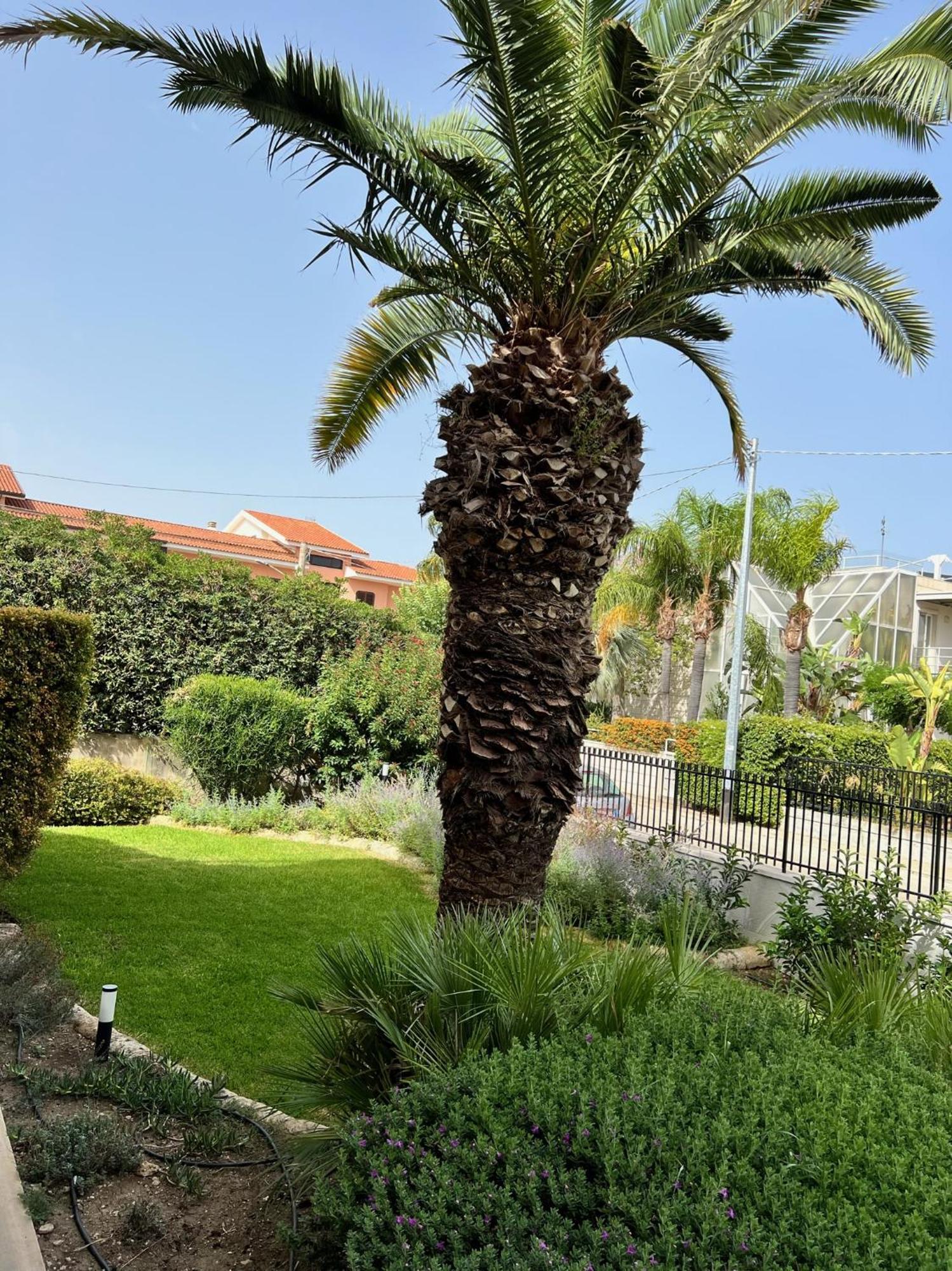 Rocamar Apartment Avola Exterior photo